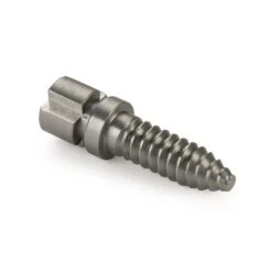 Woodworm Screw